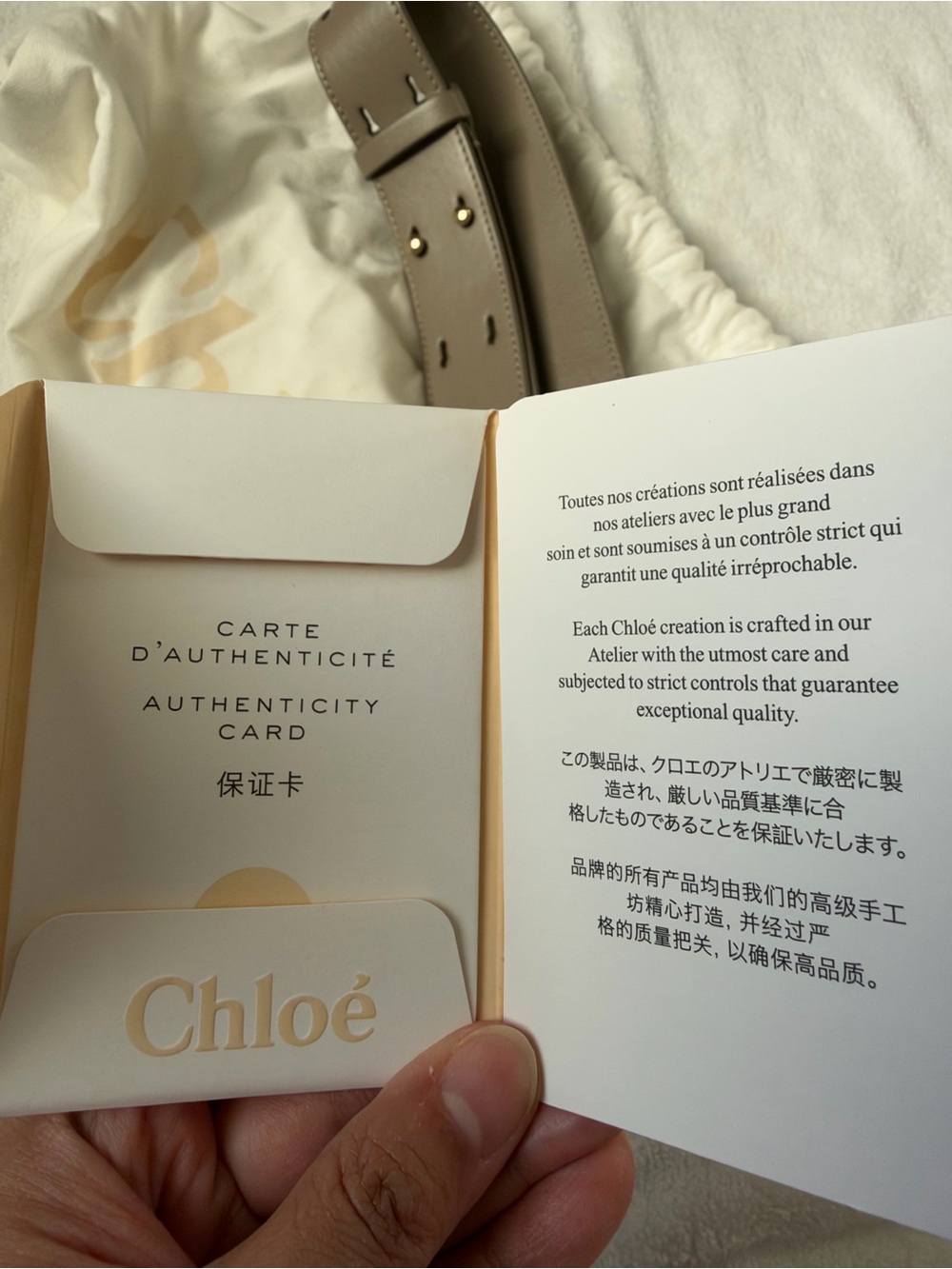 Chloe Small Tess Leather Saddle Bag in Taupe. Dust bag. authentications included - Picture 13 of 15